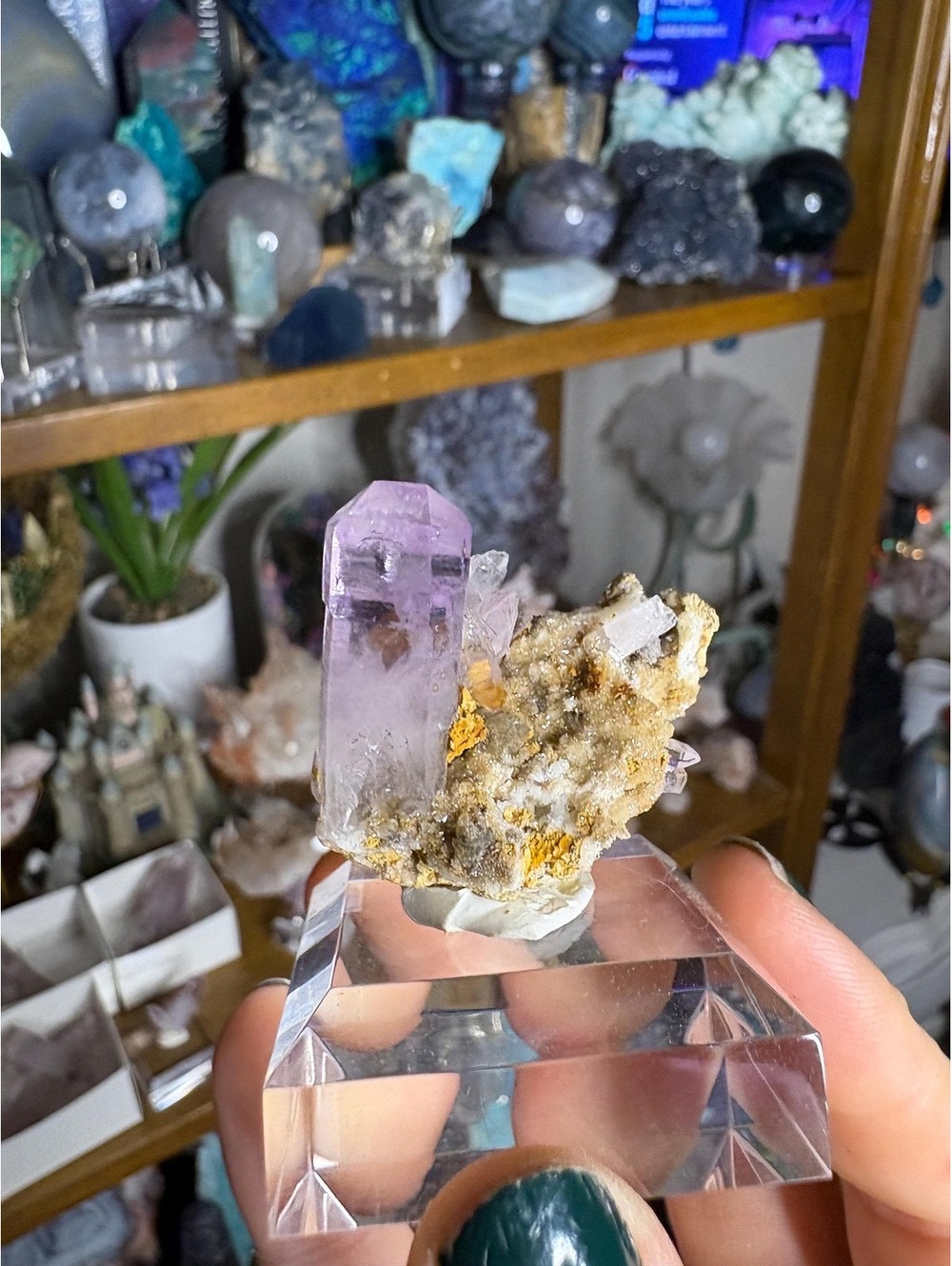 Vera Cruz Amethyst Cluster on Matrix | Lavender Amethyst | Veracruz, Mexico